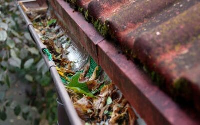 The Best Time of Year to Schedule Eavestrough Cleaning