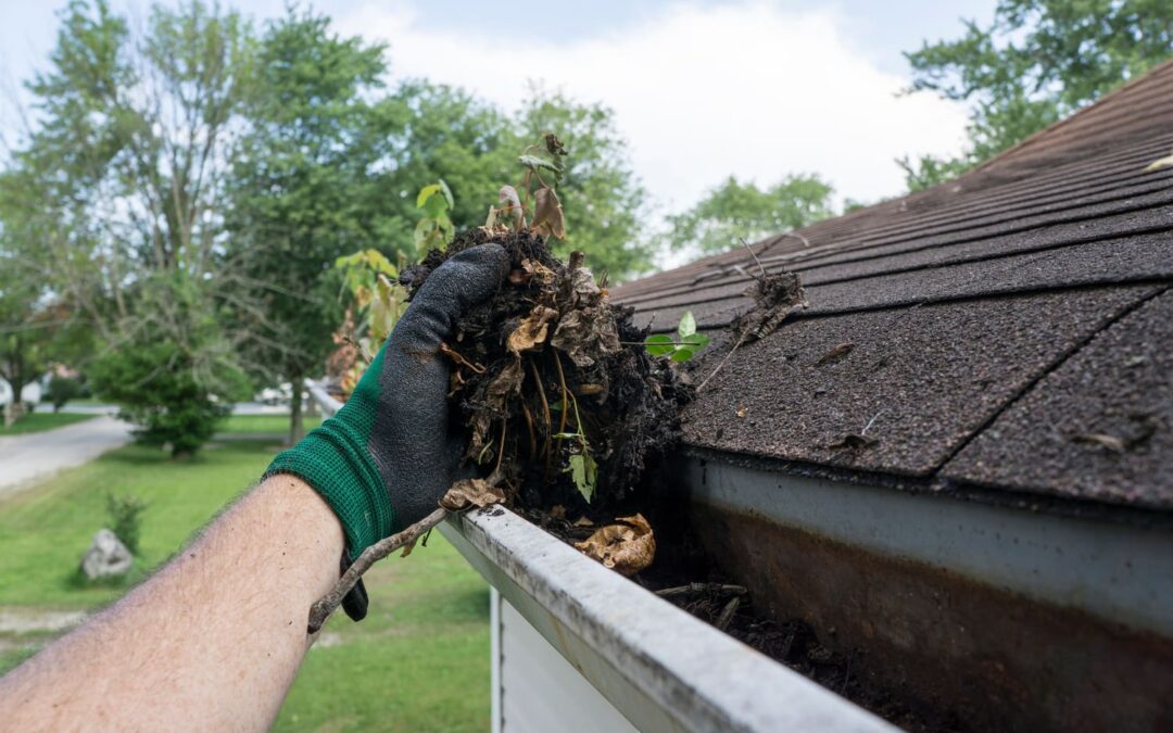 Do Gutter Guards Eliminate the Need for Eaves Cleaning?